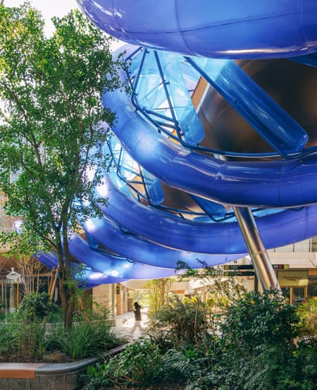 Light Vortex Bridge